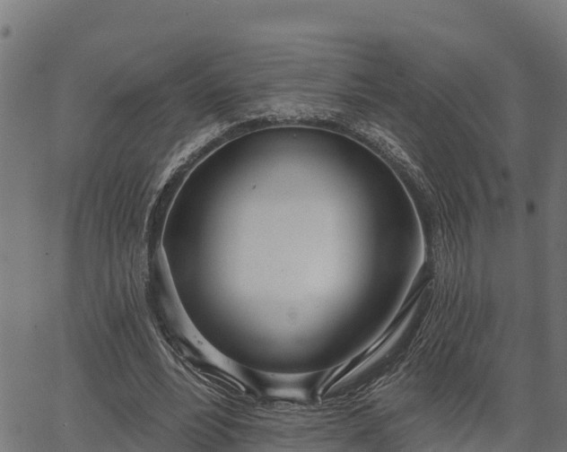 X0000066990488200603311553