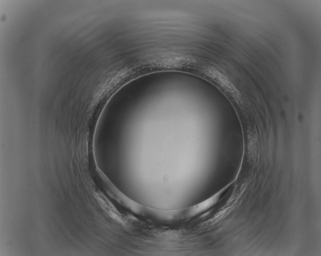 X0000066990493200603311553