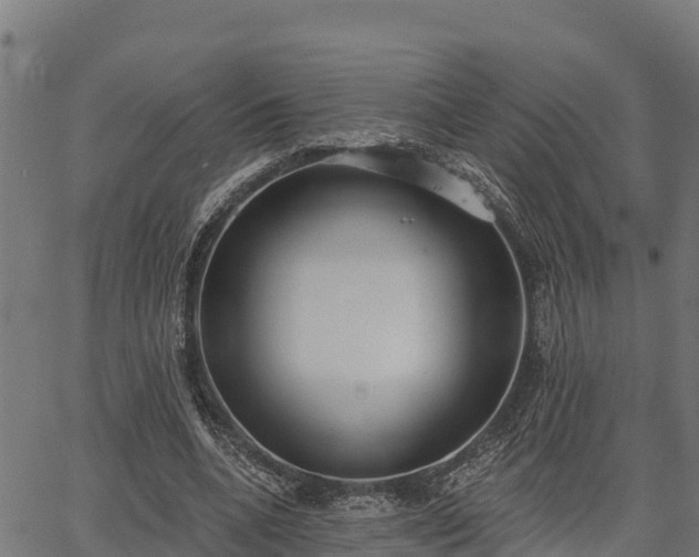 X0000066990536200603311552
