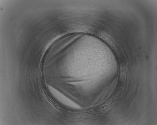 X0000066990628200603311550