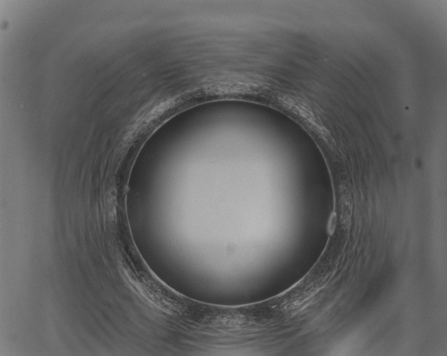 X0000066990631200603311550