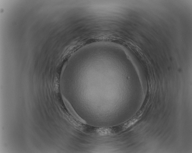 X0000066990762200603311549