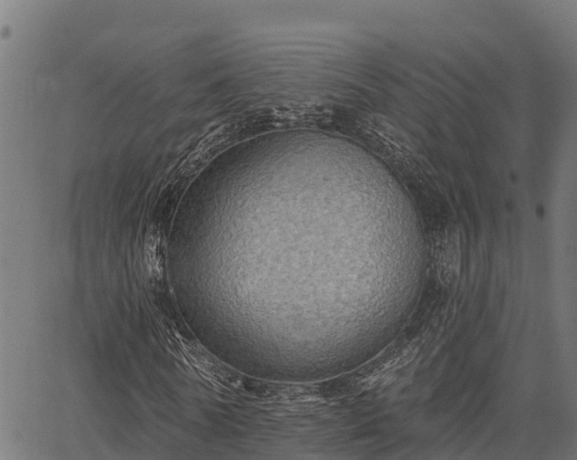 X0000066990770200603311548