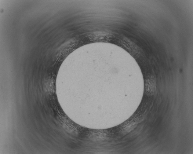 X0000066990820200603311547