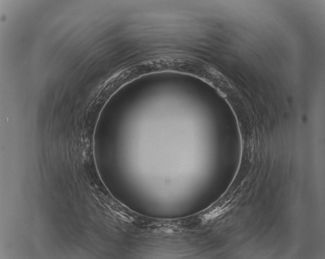 X0000066990822200603311547