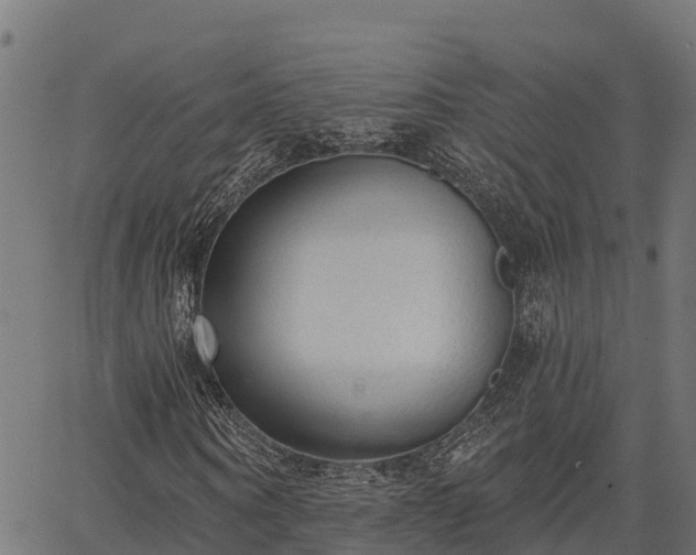 X0000066990866200603311547