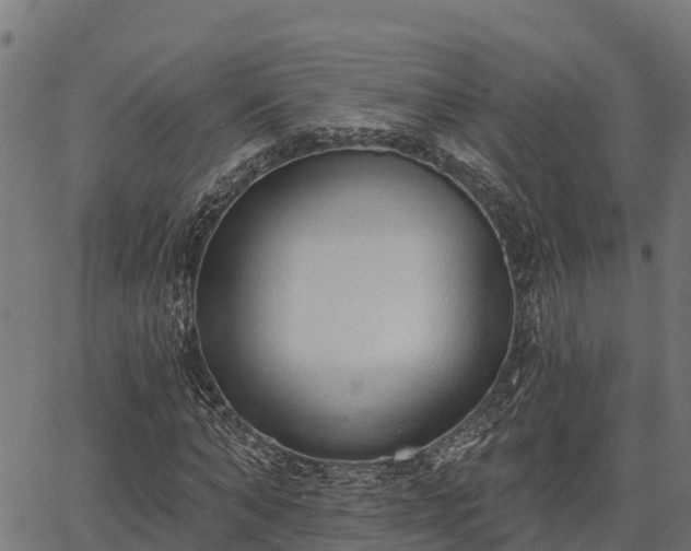 X0000066990870200603311547