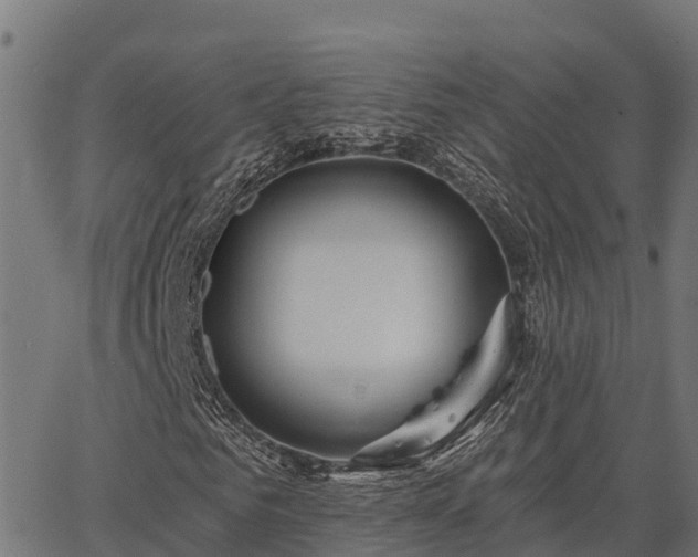 X0000066990961200603311545