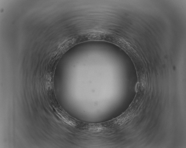 X0000066990964200603311545