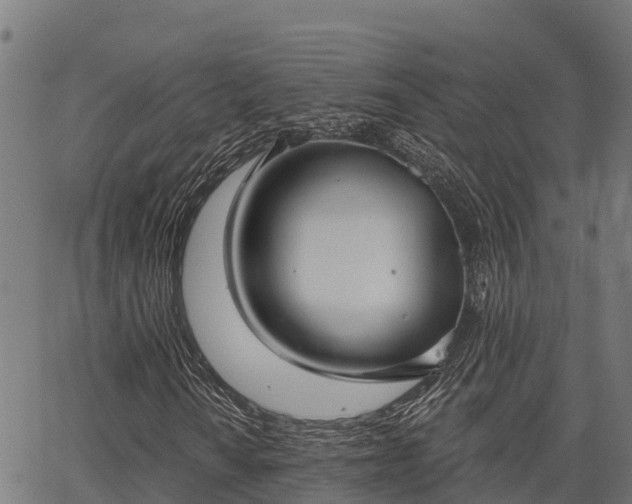 X0000066991010200603311544