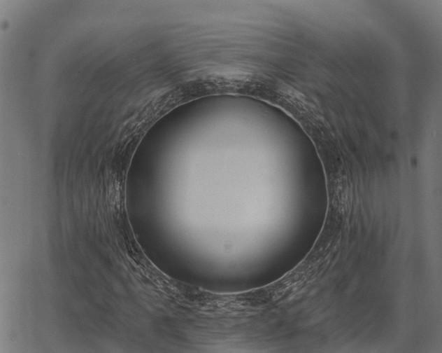 X0000066991061200603311544