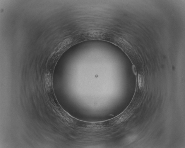X0000066991107200603311542