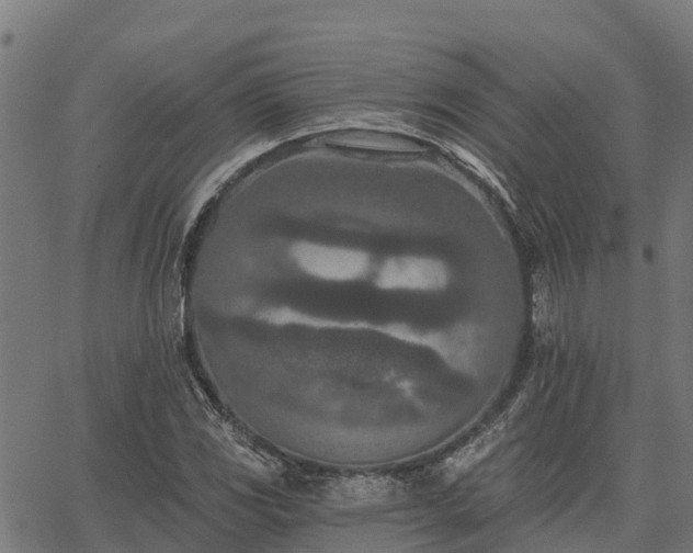 X0000066991117200603311542
