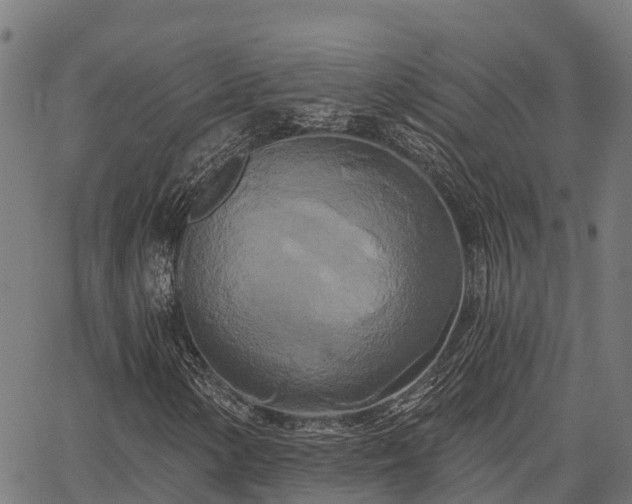 X0000066991154200603311542