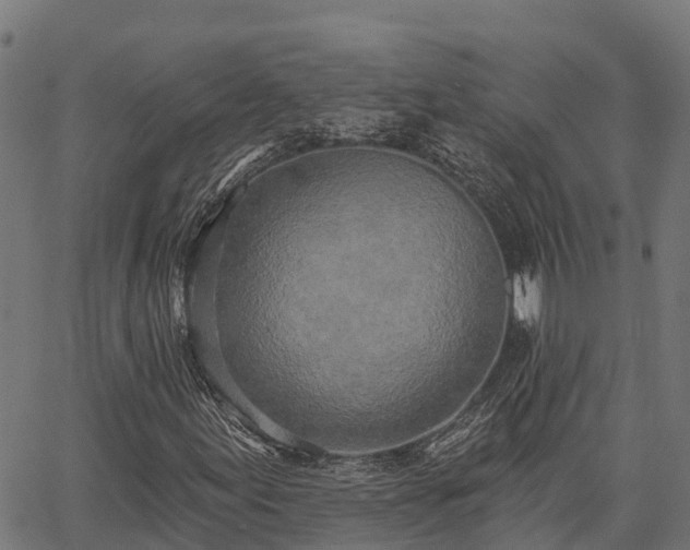 X0000066991155200603311542