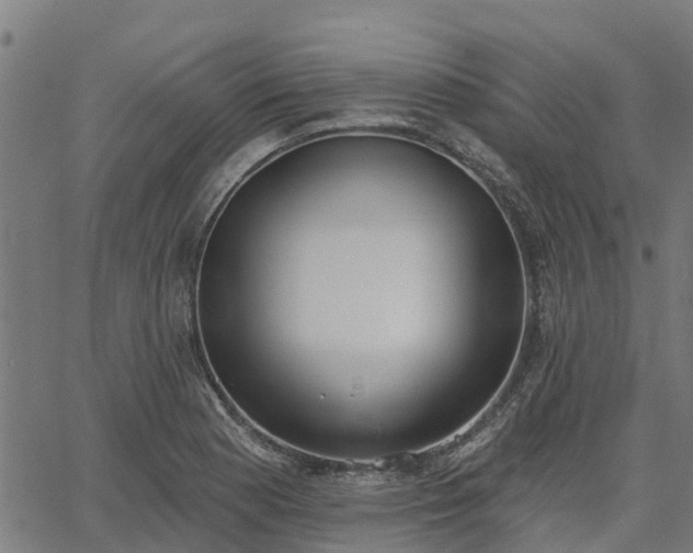 X0000066991177200603311542