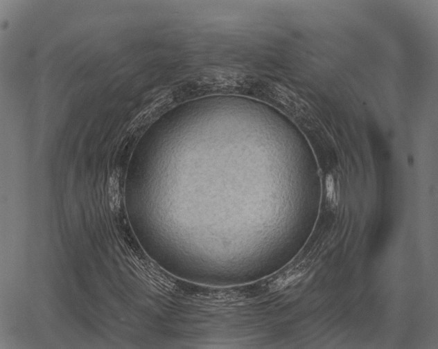 X0000066991203200603311541