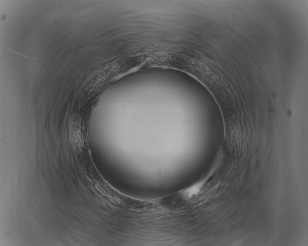X0000066991250200603311540