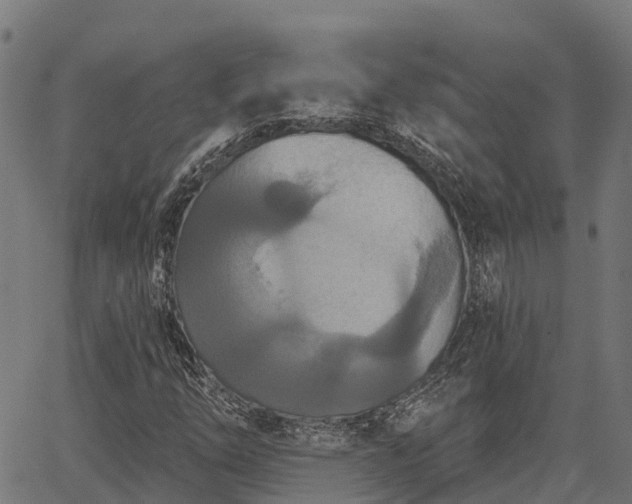 X0000066991254200603311540