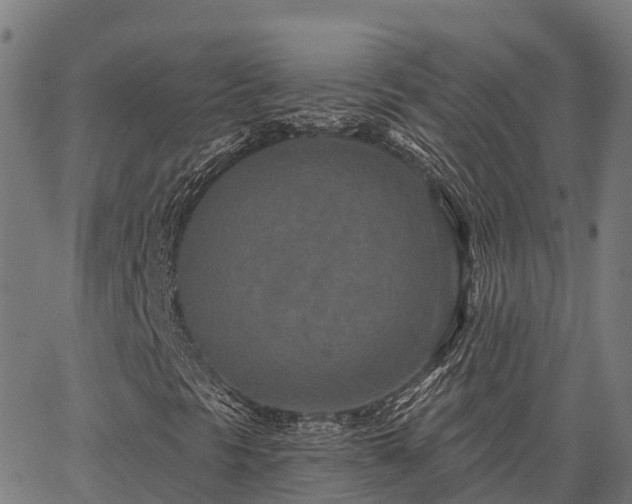 X0000066991297200603311539