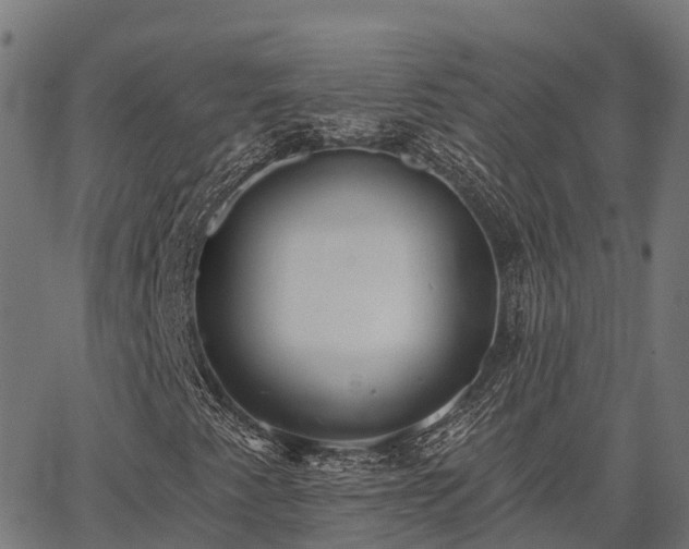 X0000066991345200603311539