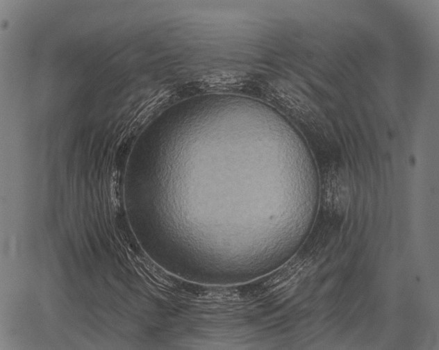X0000066991346200603311539