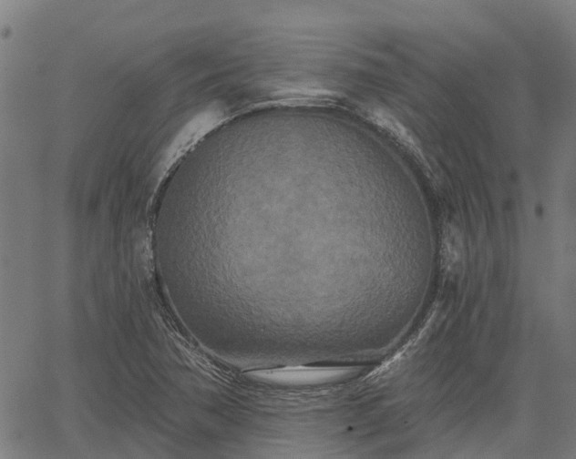 X0000066991362200603311539