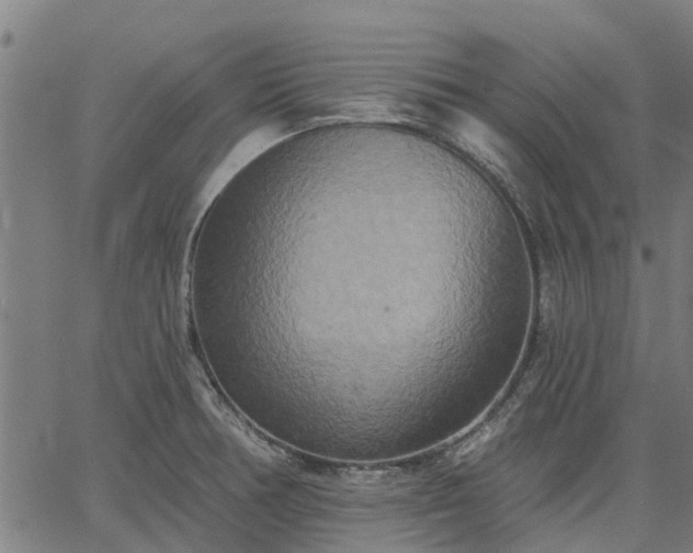 X0000066991378200603311538