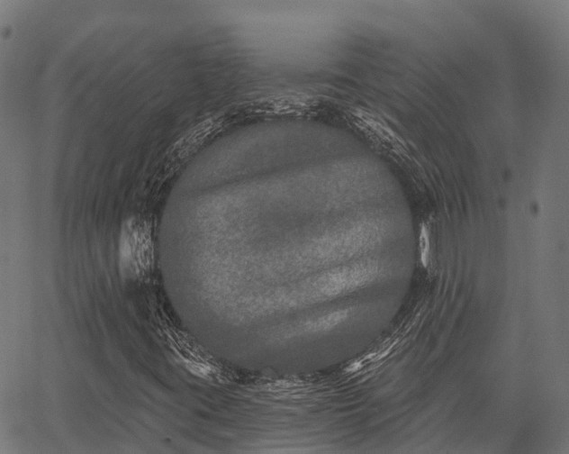X0000066991395200603311537