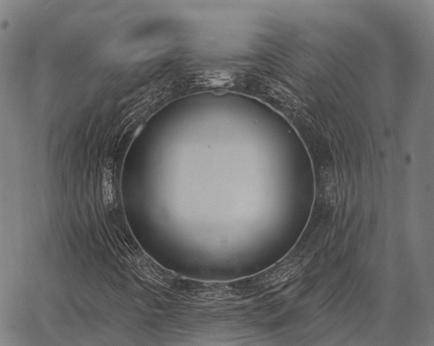 X0000066991442200603311537