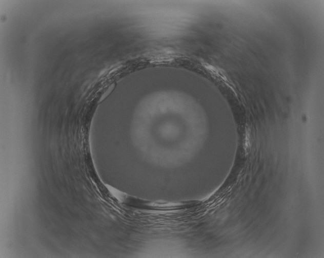 X0000066991445200603311537