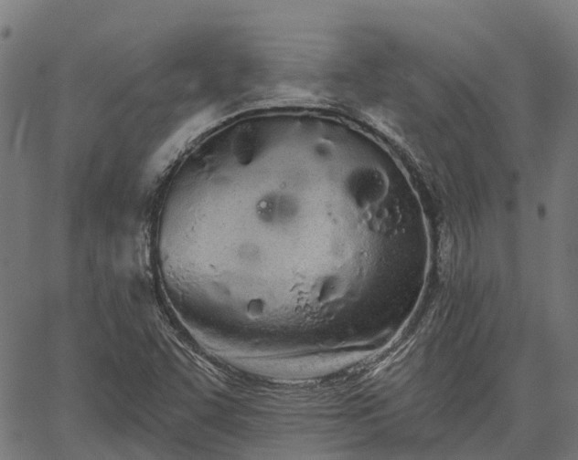 X0000066991455200603311537