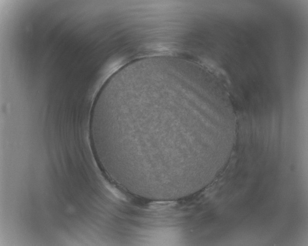 X0000066990051200604072133