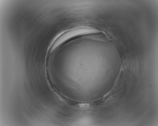 X0000066990052200604072133