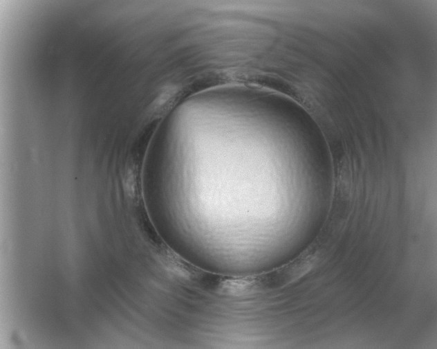 X0000066990139200604072133