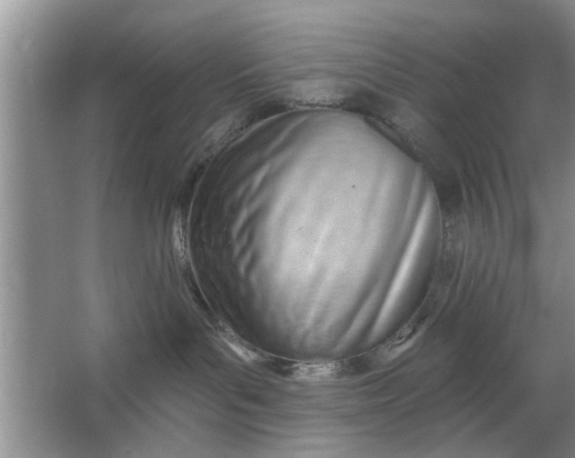 X0000066990143200604072133