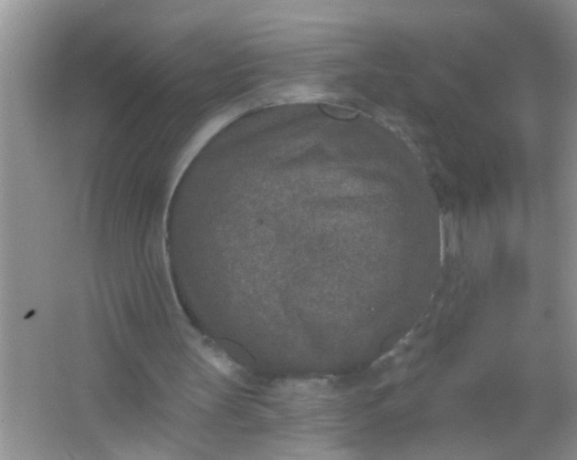 X0000066990147200604072132