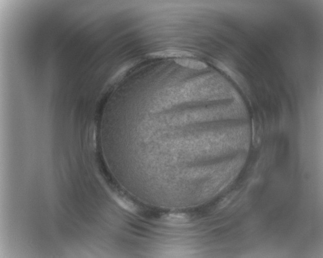 X0000066990157200604072132