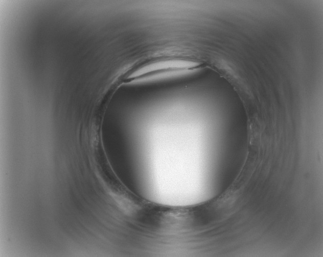 X0000066990164200604072132