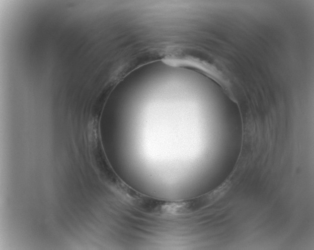 X0000066990172200604072132
