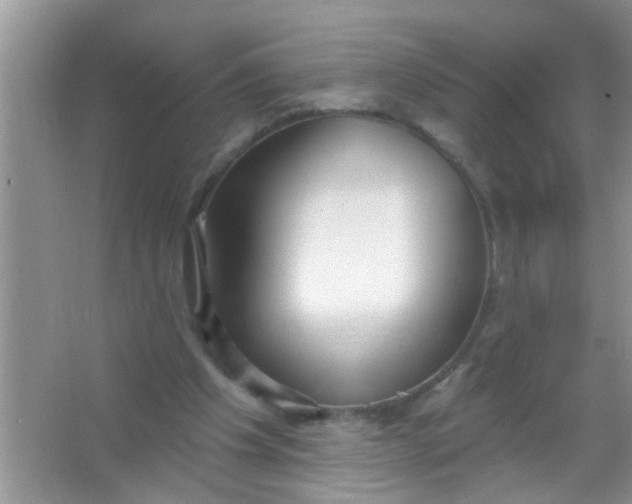 X0000066990201200604072132