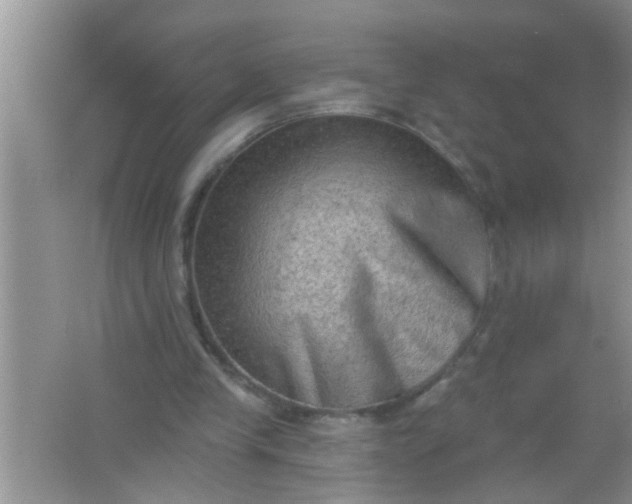 X0000066990245200604072130