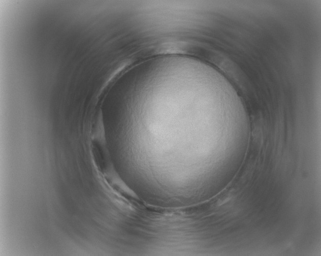 X0000066990386200604072128