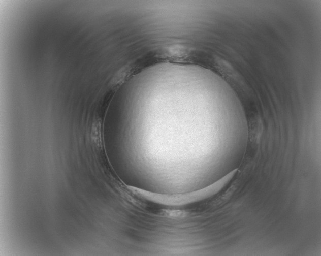 X0000066990425200604072128