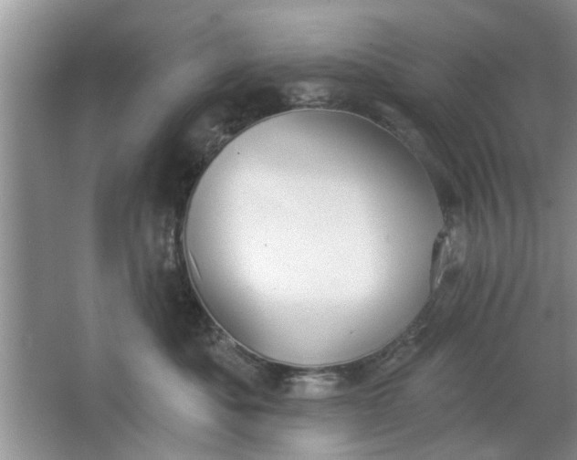 X0000066990525200604072126