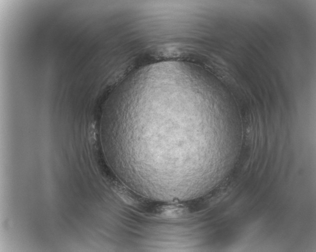 X0000066990555200604072126