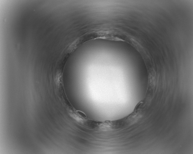 X0000066990574200604072126