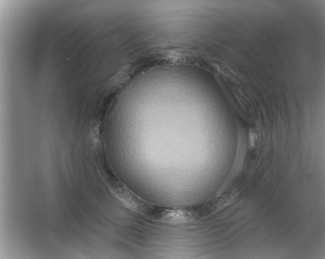 X0000066990611200604072125