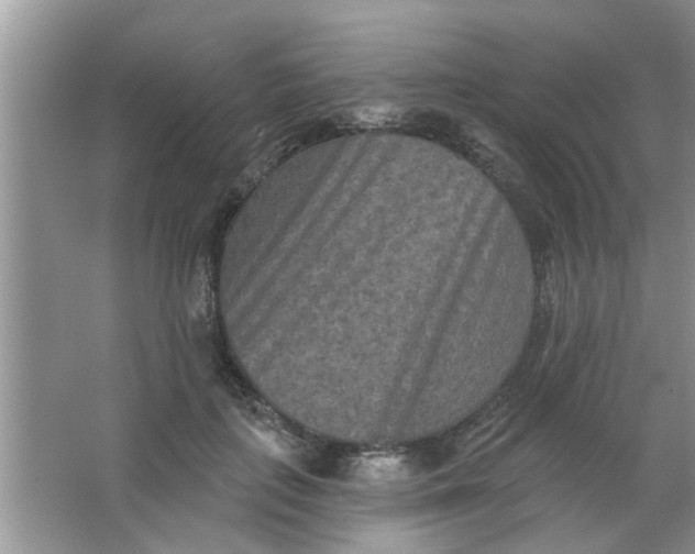 X0000066990651200604072124