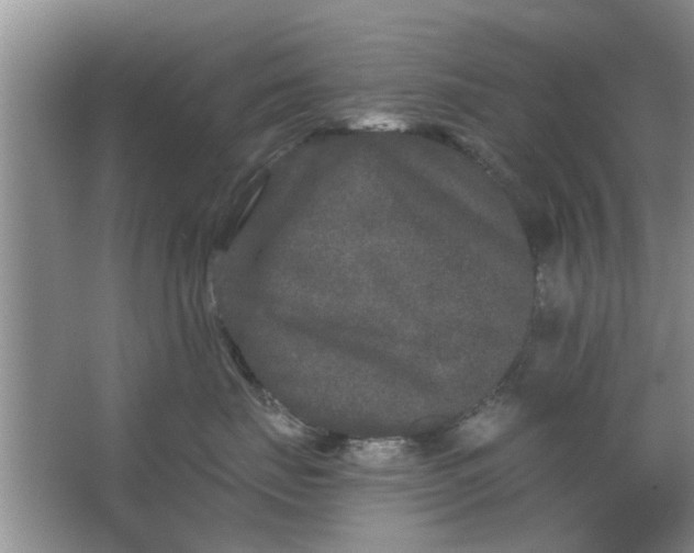 X0000066990671200604072124
